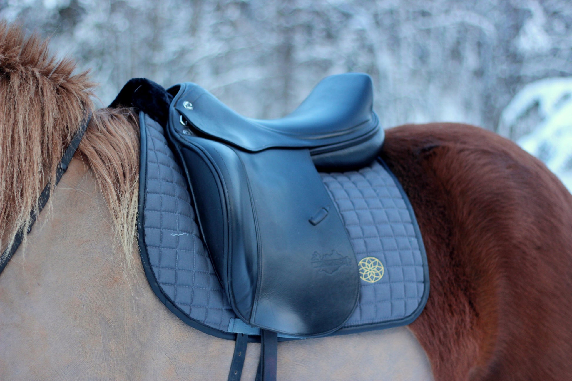 The Bohemian Classic - The Bohemian Horse